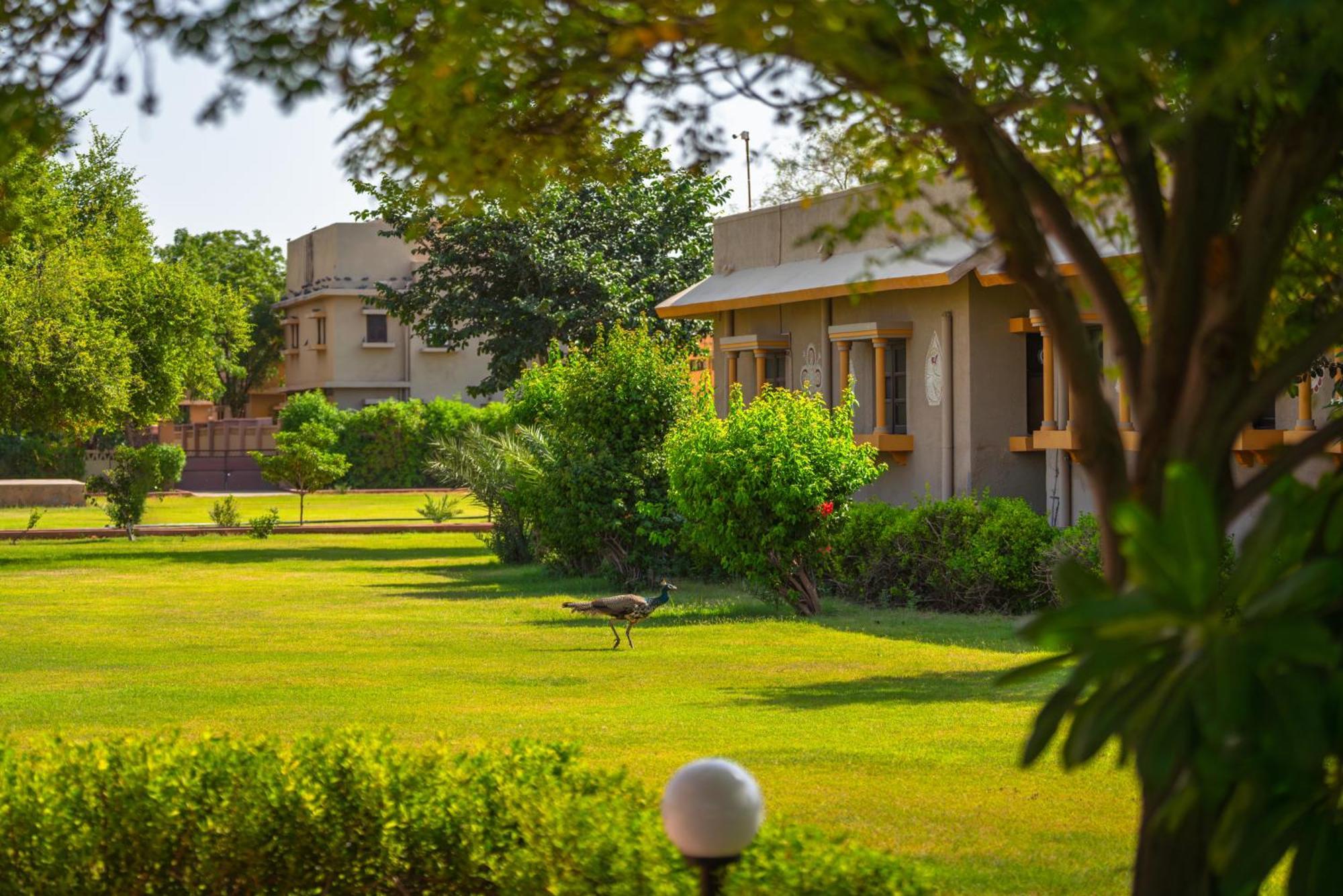 Thar Oasis Resort And Camp Dechu Bagian luar foto